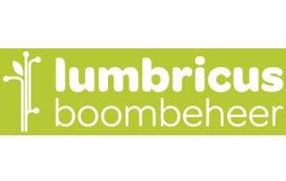 bomen-gent-lumbricus